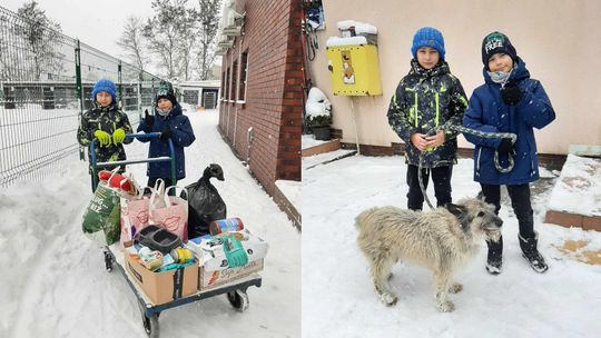 Chłopcy zorganizowali zbiórkę dla zwierząt ze schroniska