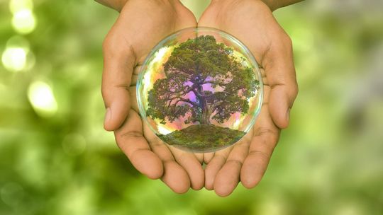 Zrównoważone i niskoemisyjne rolnictwo Zrównoważone i niskoemisyjne rolnictwo