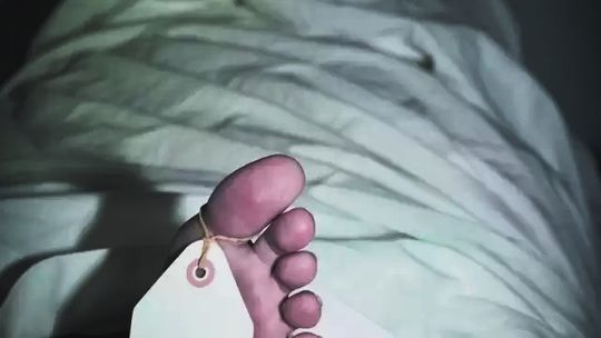 Zwłoki kobiety znajdowały się w skrzyni łóżka