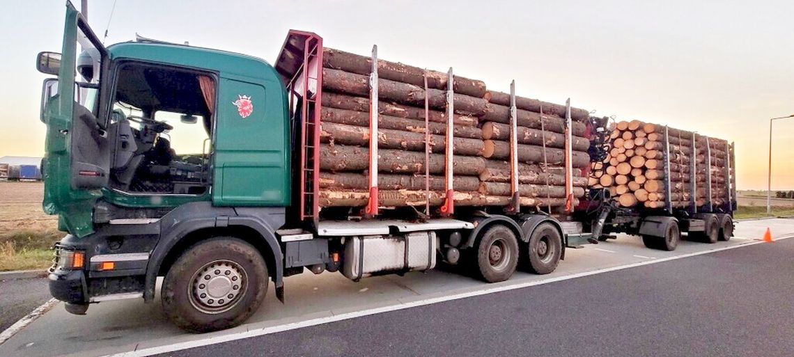 60-tonowiec z niesprawnymi hamulcami przewoził drewno. ZDJĘCIA 60-tonowiec z niesprawnymi hamulcami przewoził drewno. ZDJĘCIA