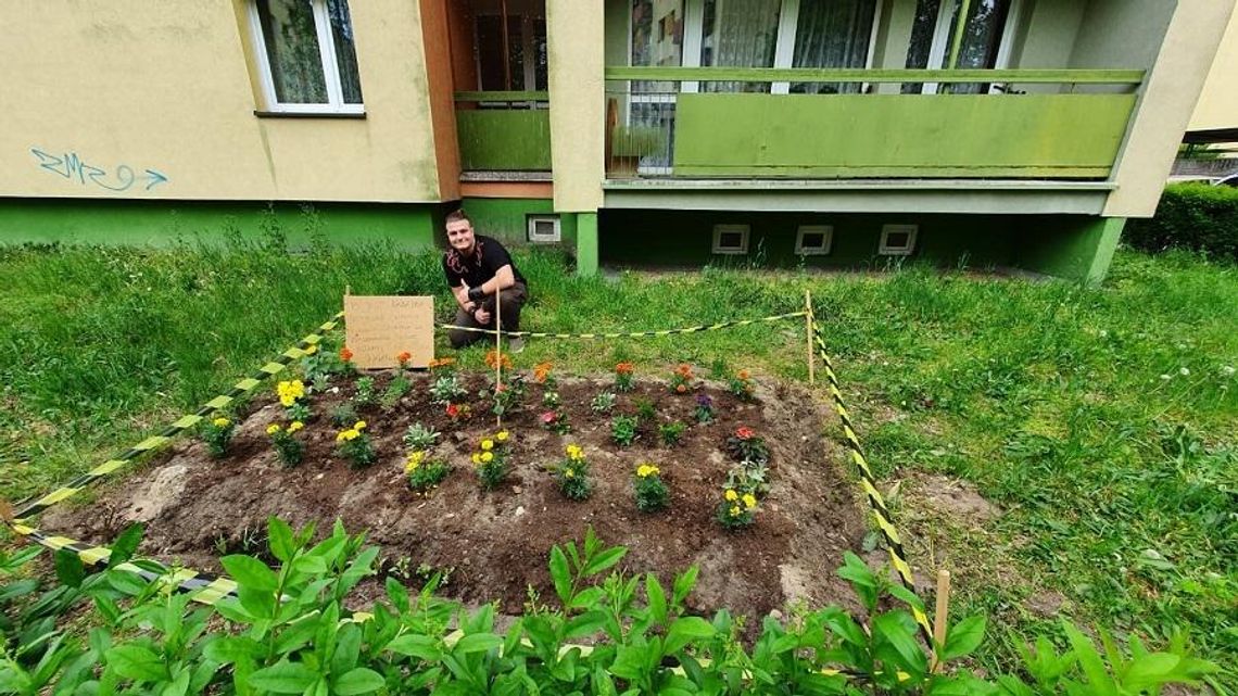 Akcja "zielona ławeczka". Razem z sąsiadami stwórz ogródek pod blokiem