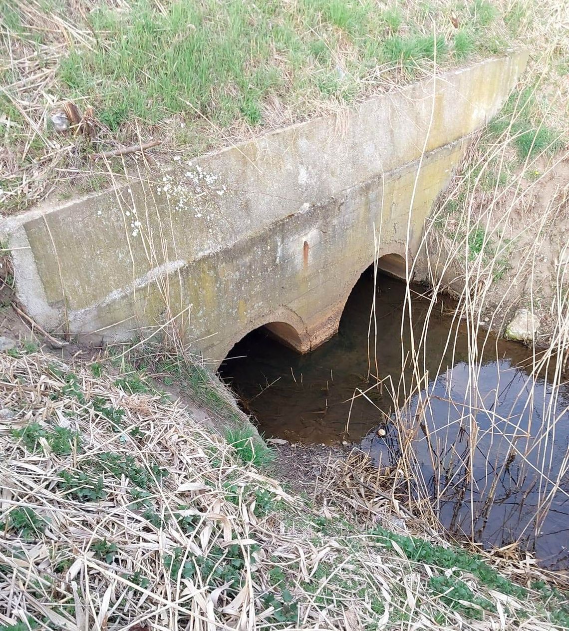 Apel w sprawie przepustu pod ulicą Spacerową w Reńskiej Wsi Apel w sprawie przepustu pod ulicą Spacerową w Reńskiej Wsi