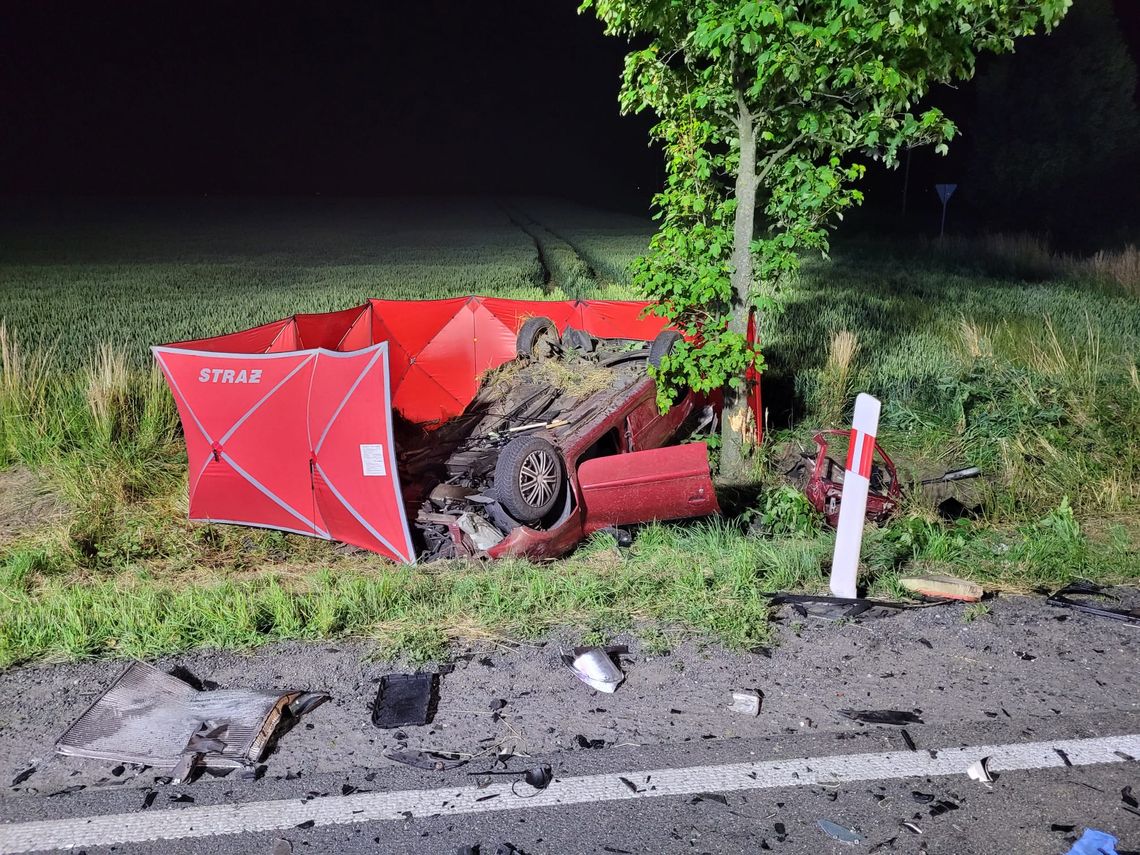 Autem podróżowało czterech młodych mężczyzn. Na DK 38 zginął 18-latek, który jechał jako pasażer