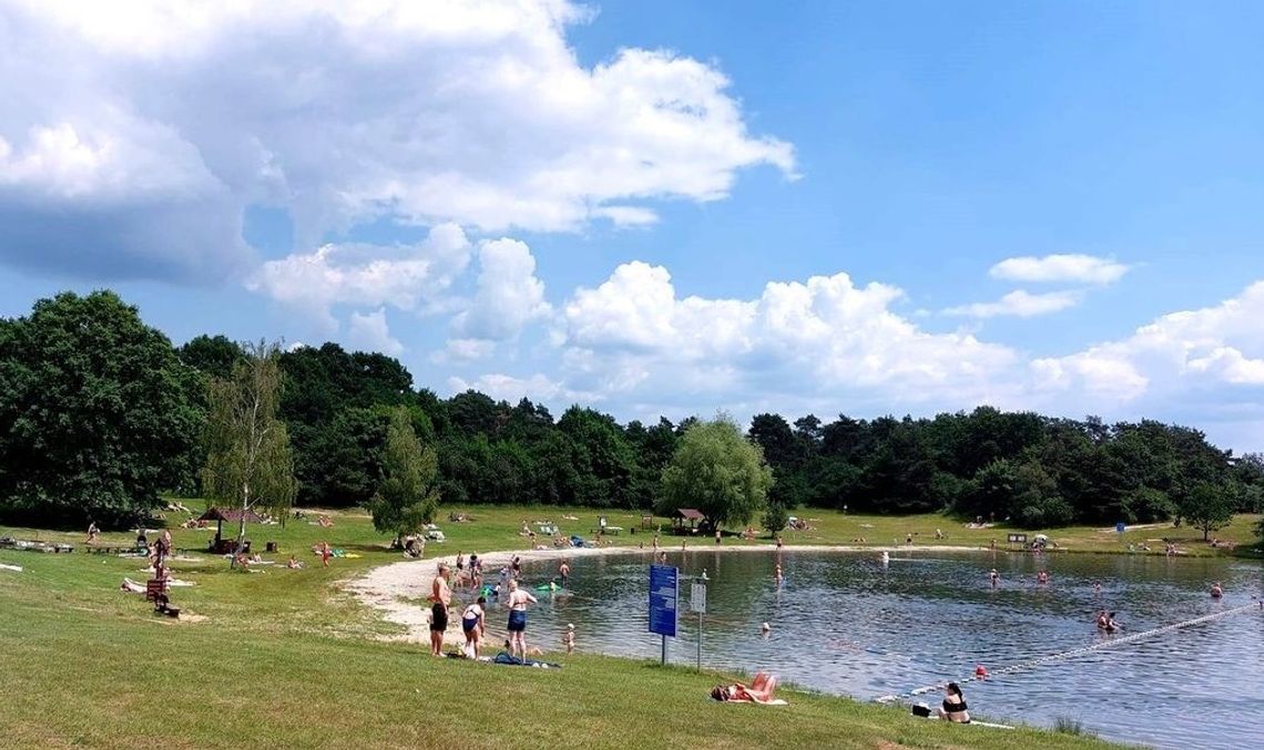 Autobusy MZK w lecie kursują nad jezioro w Dębowej Autobusy MZK w lecie kursują nad jezioro w Dębowej