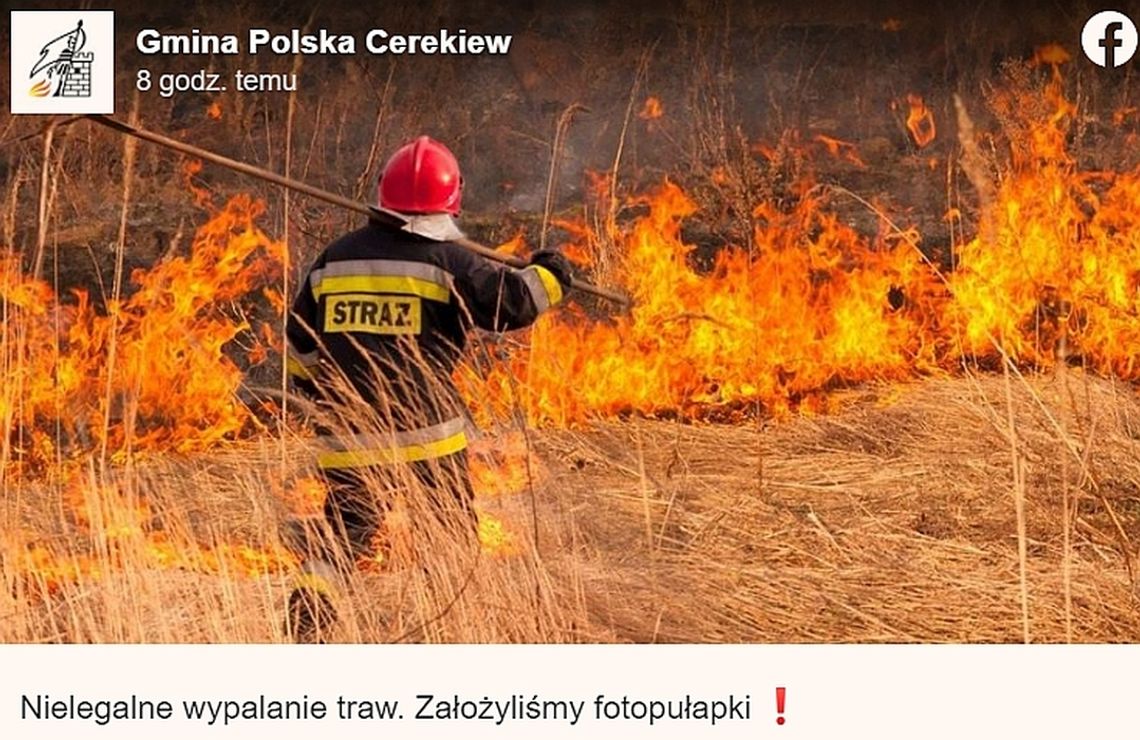 Bat na bezczelnych podpalaczy. Gmina założyła fotopułapki