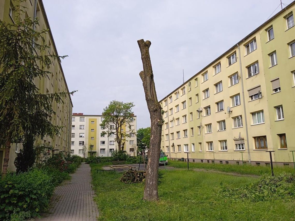 Będzie remont podwórka między blokami przy ulicy Gagarina