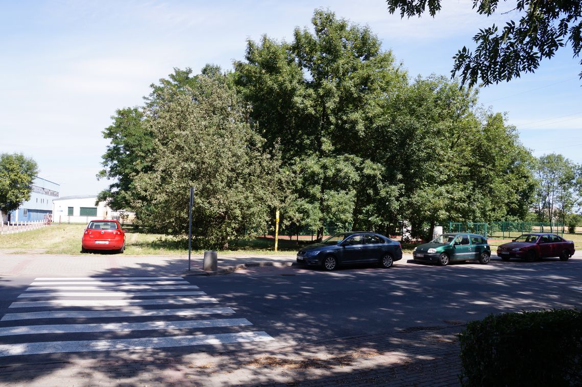 Będzie to wyjątkowo krótka sesja Rady Miasta Kędzierzyn-Koźle Będzie to wyjątkowo krótka sesja Rady Miasta Kędzierzyn-Koźle