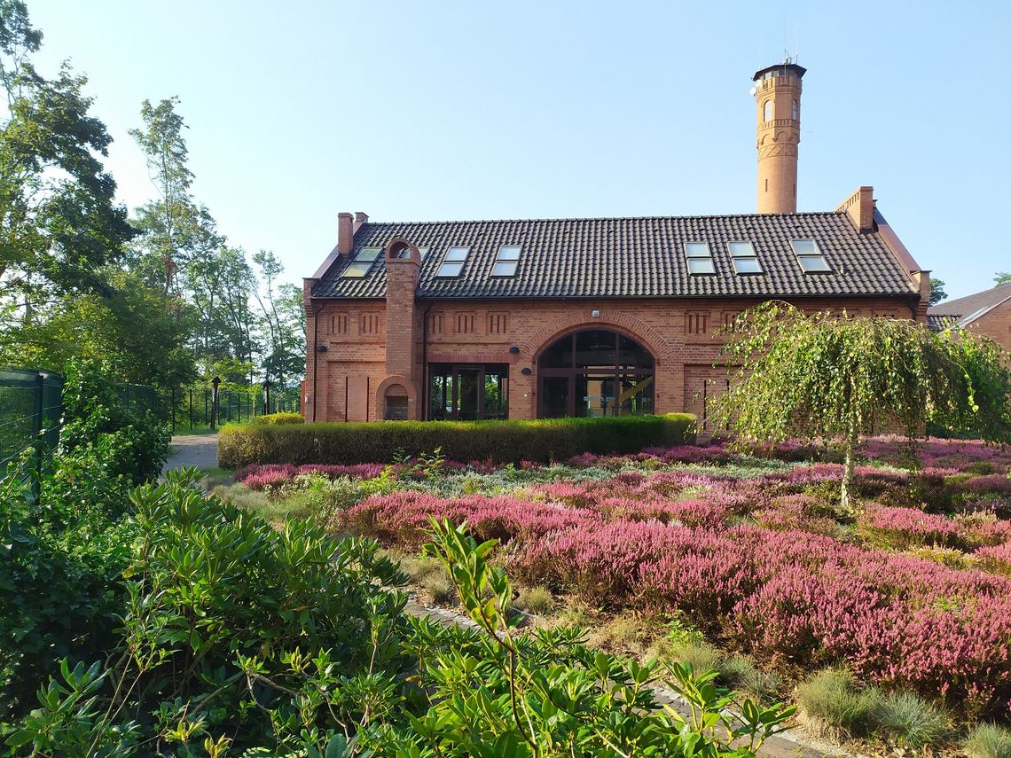 Bliżej natury, czyli dzień otwarty w Nadleśnictwie Kędzierzyn