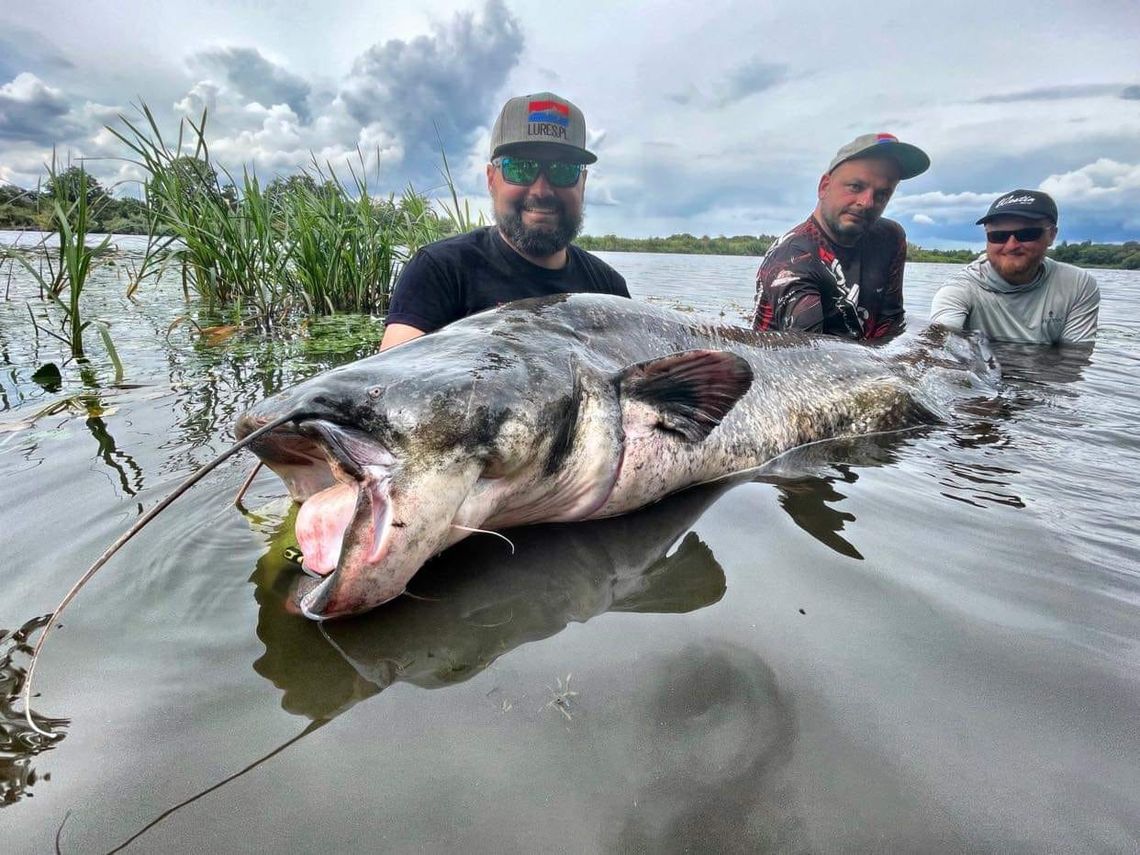 Catfish Cup Poland - wielka impreza wędkarska na opolskim odcinku Odry