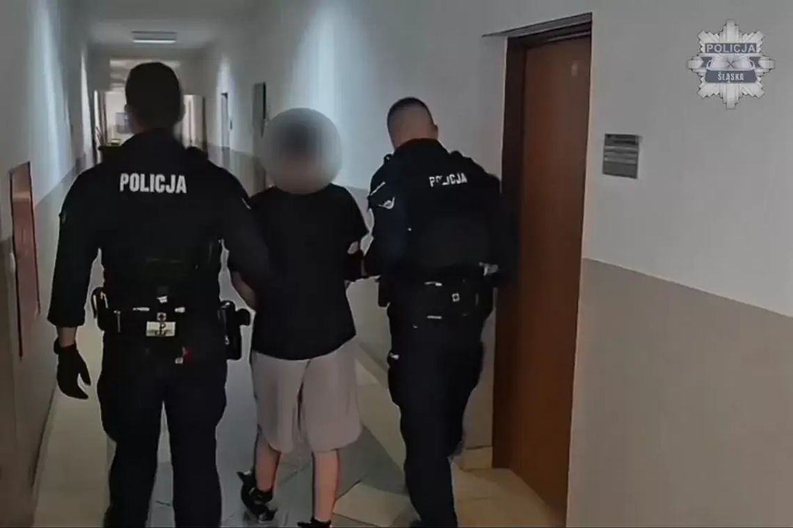 Czterech mieszkańców Kędzierzyna-Koźla ukradło 21 par butów w galerii