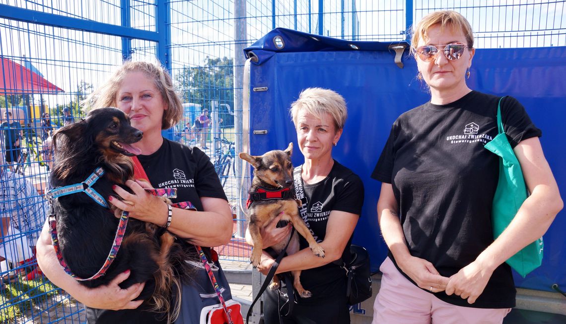 Czy na kozielskim osiedlu Zachód powstanie wybieg dla psów? ZDJĘCIA Czy na kozielskim osiedlu Zachód powstanie wybieg dla psów? ZDJĘCIA