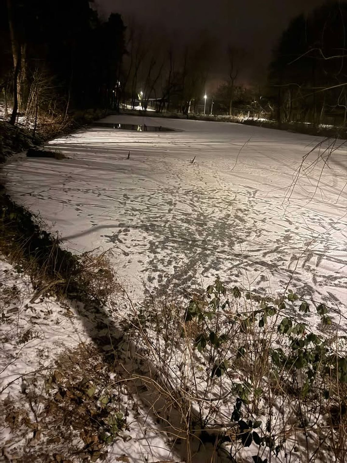 Czytelniczka ostrzega przed zabawami dzieci na zamarzniętym stawie na Blachowni Czytelniczka ostrzega przed zabawami dzieci na zamarzniętym stawie na Blachowni