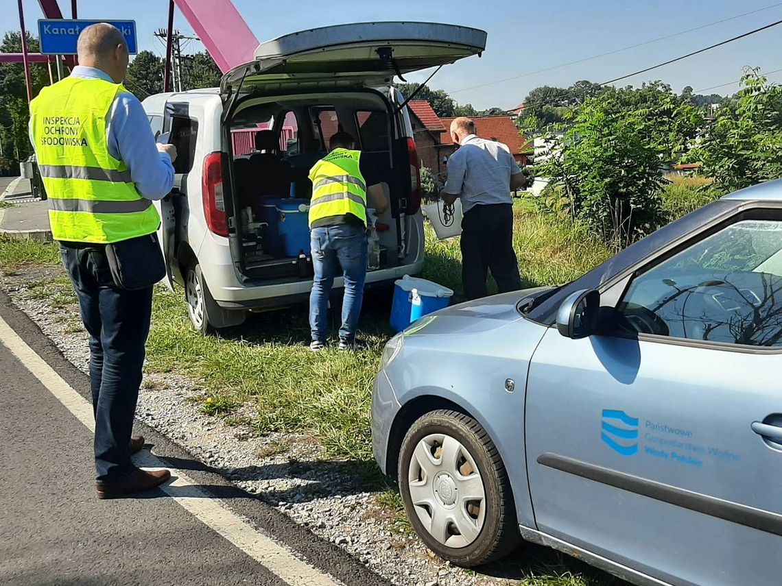 Dalsze działania Wód Polskich w sprawie śniętych ryb w Kanale Gliwickim Dalsze działania Wód Polskich w sprawie śniętych ryb w Kanale Gliwickim