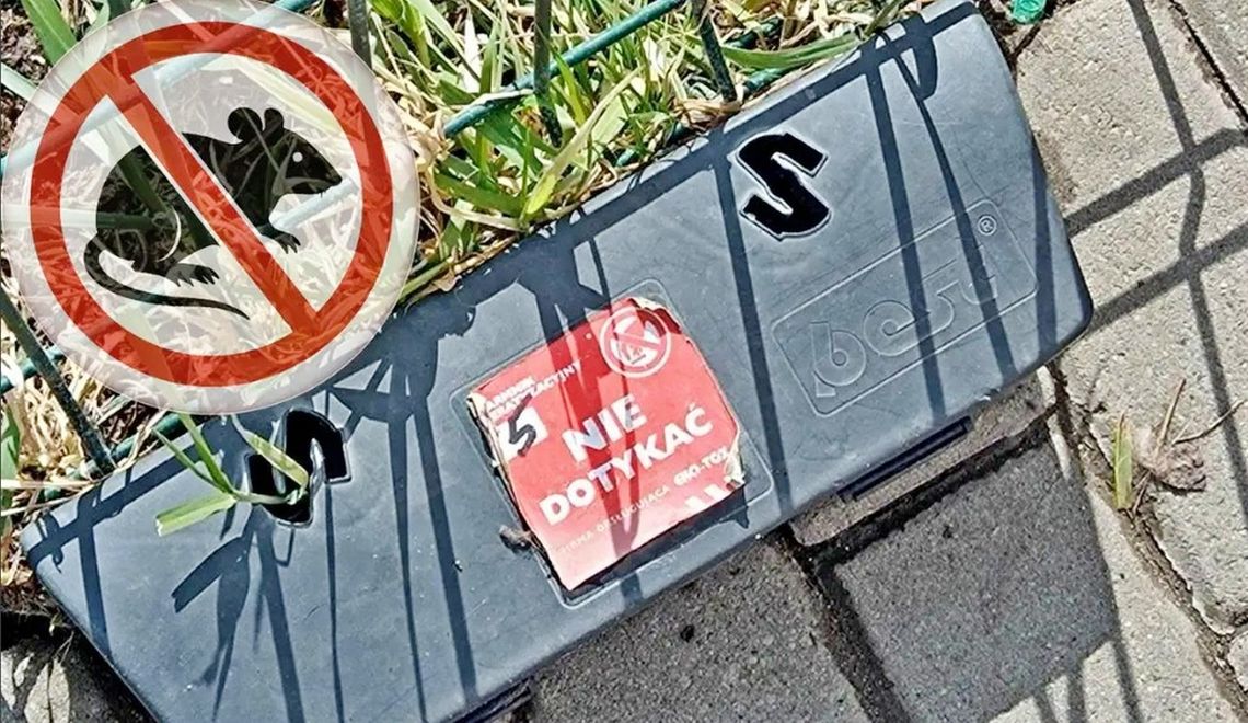 Obowiązkowa deratyzacja. 21 kwietnia to ostatni dzień Obowiązkowa deratyzacja. 21 kwietnia to ostatni dzień