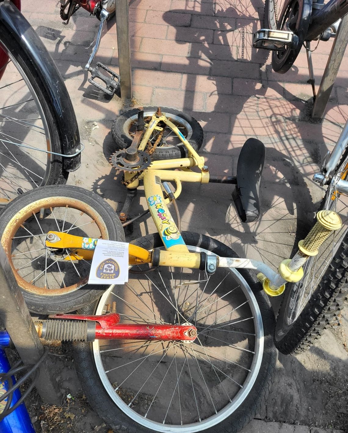 Do końca czerwca porzucone rowery mają zniknąć spod dworca PKP! ZDJĘCIA Do końca czerwca porzucone rowery mają zniknąć spod dworca PKP! ZDJĘCIA