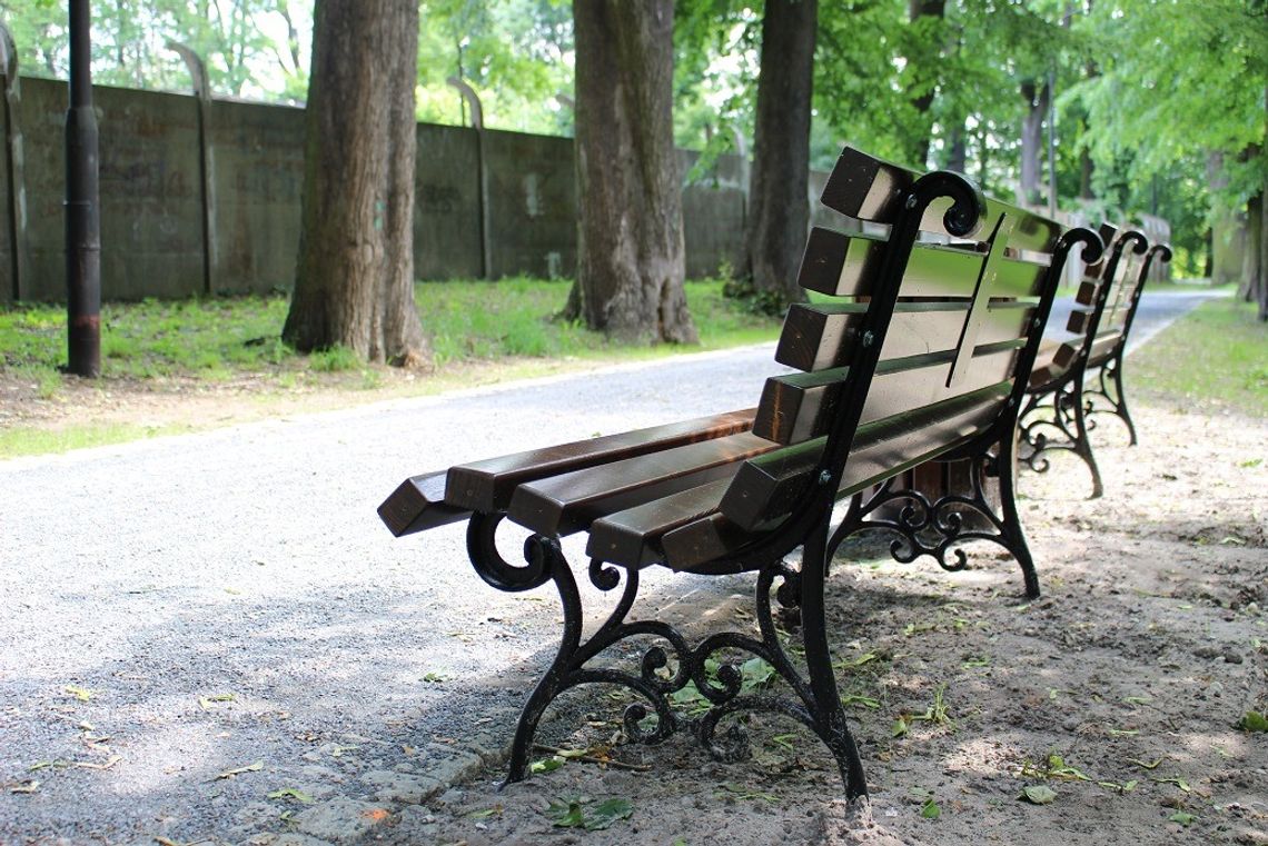 Do zdobycia jest 3000 zł z projektu "Zielona ławeczka"