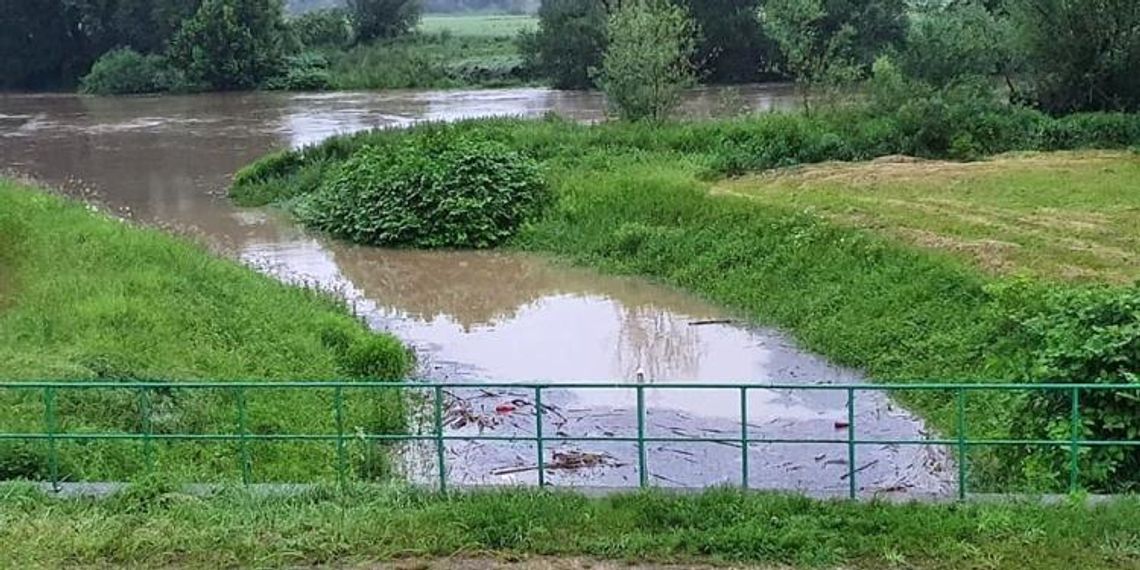 Doszło do częściowego zalania łąk w międzywalu. Zagrożenia zalaniem domów w gminie Cisek na razie nie ma