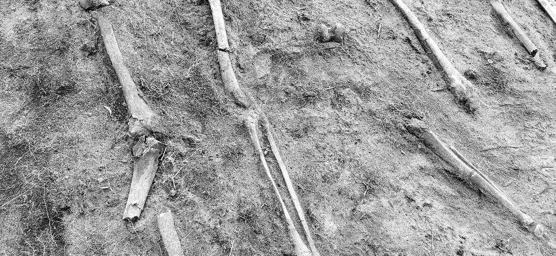 Dowody okrucieństwa ukryte pod ziemią