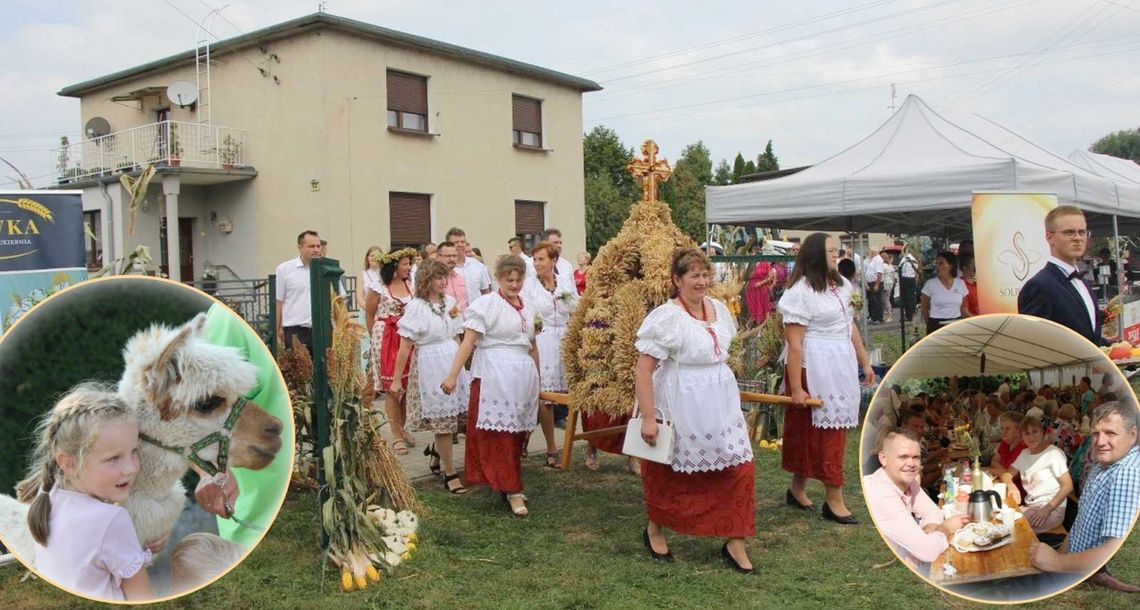 Dożynki w Dzielnicy. Nie tylko alpaki zrobiły furorę. ZDJĘCIA