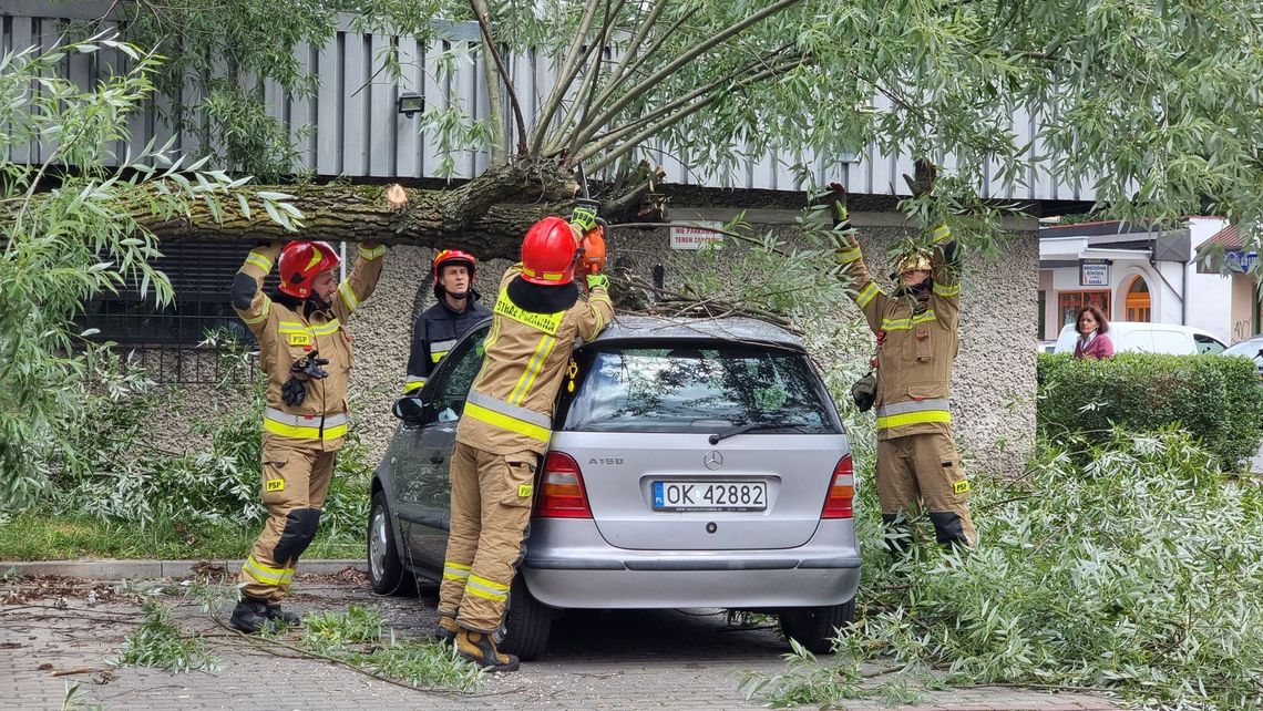Drzewo złamało się i spadło na zaparkowany samochód Drzewo złamało się i spadło na zaparkowany samochód