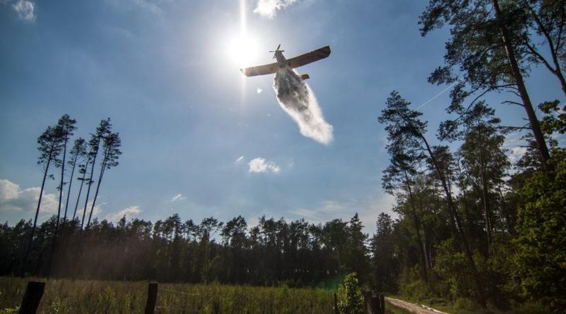 Duże zagrożenie pożarowe w lasach województwa opolskiego