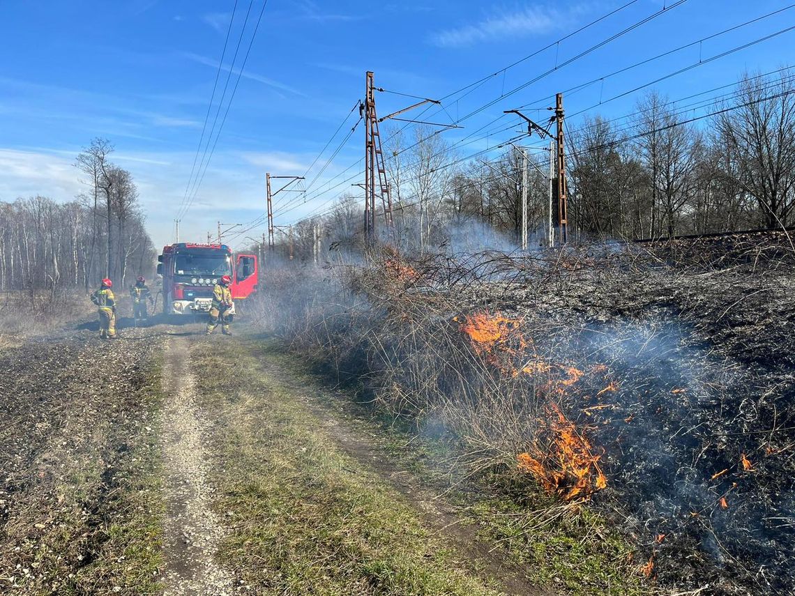 Dwa pożary suchej trawy w okolicy mostu kolejowego nad kanałem