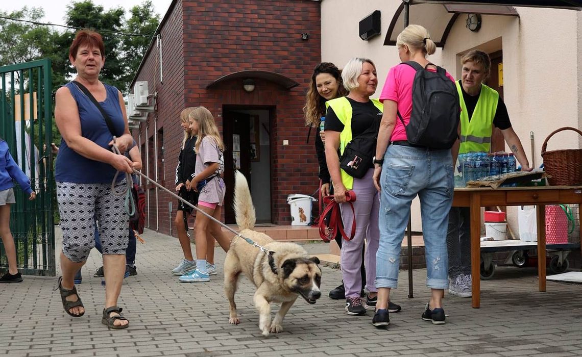 Dzień otwarty w Schronisku dla Bezdomnych Zwierząt w Kędzierzynie-Koźlu