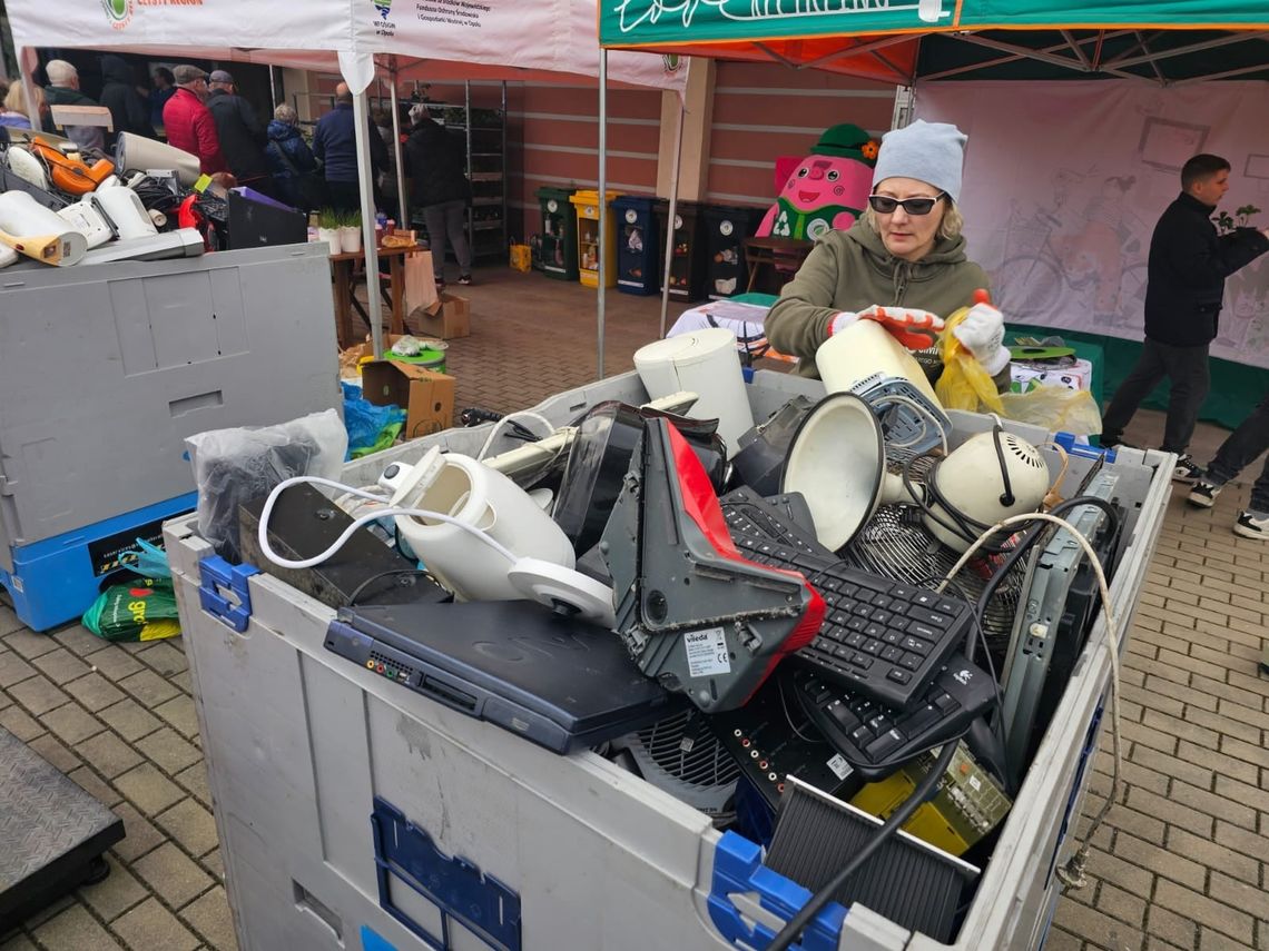Dzień Ziemi dziś, a konkretne działanie już w piątek. Rośliny za elektrośmieci w Kędzierzynie-Koźlu