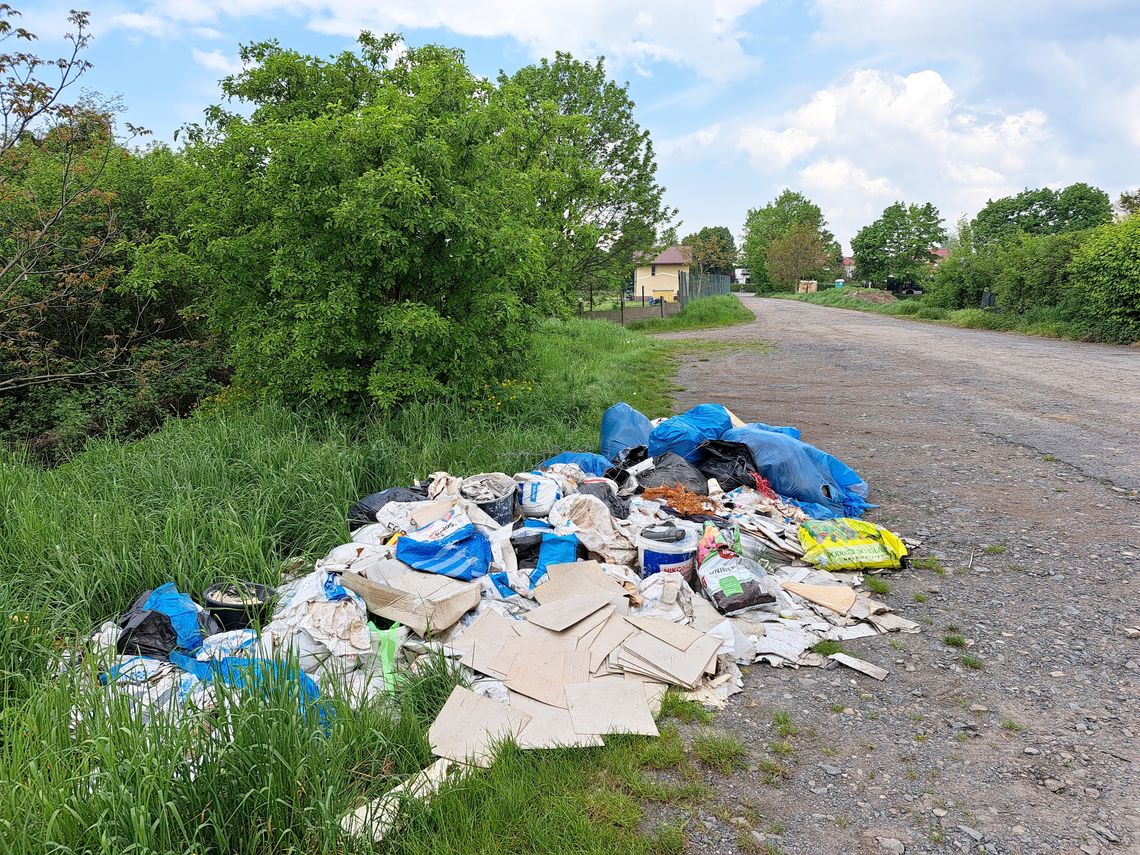 Dzikie wysypisko odpadów przy ROD Kopernik. ZDJĘCIA