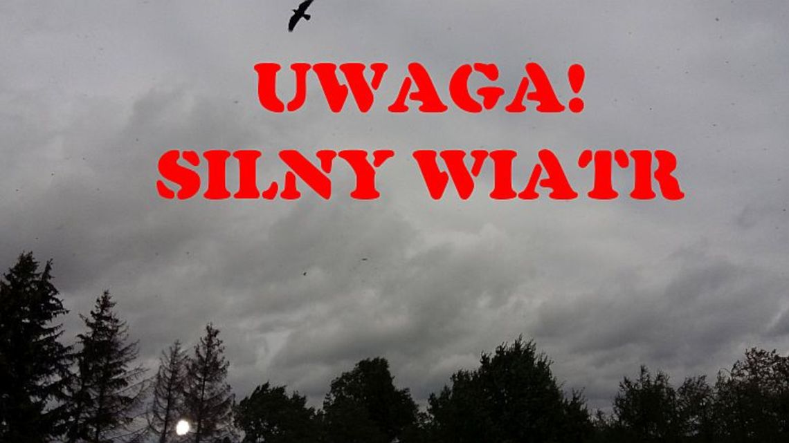 Dziś wieczorem i w nocy będzie mocno wiało - ostrzegają meteorolodzy