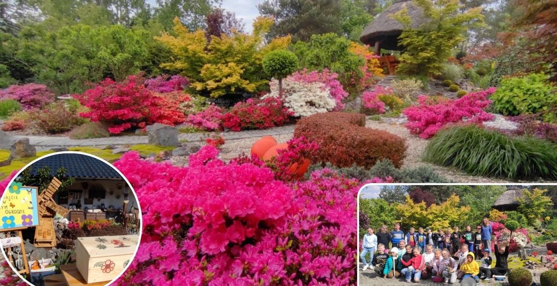 Ekologia i piękno przyrody. W magicznym ogrodzie. ZDJĘCIA