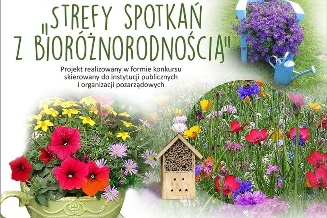 Ekologicznie i kolorowo. "Strefy spotkań z bioróżnorodnością"