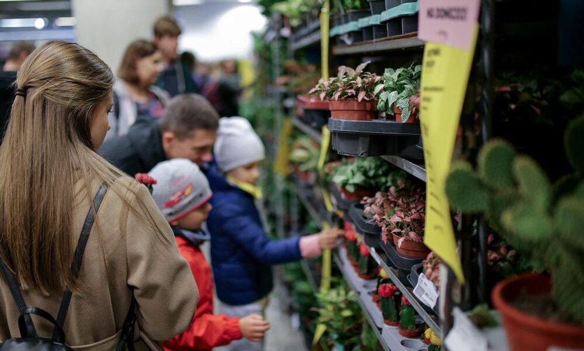 Festiwal roślin w ten weekend odbędzie się w Kędzierzynie-Koźlu