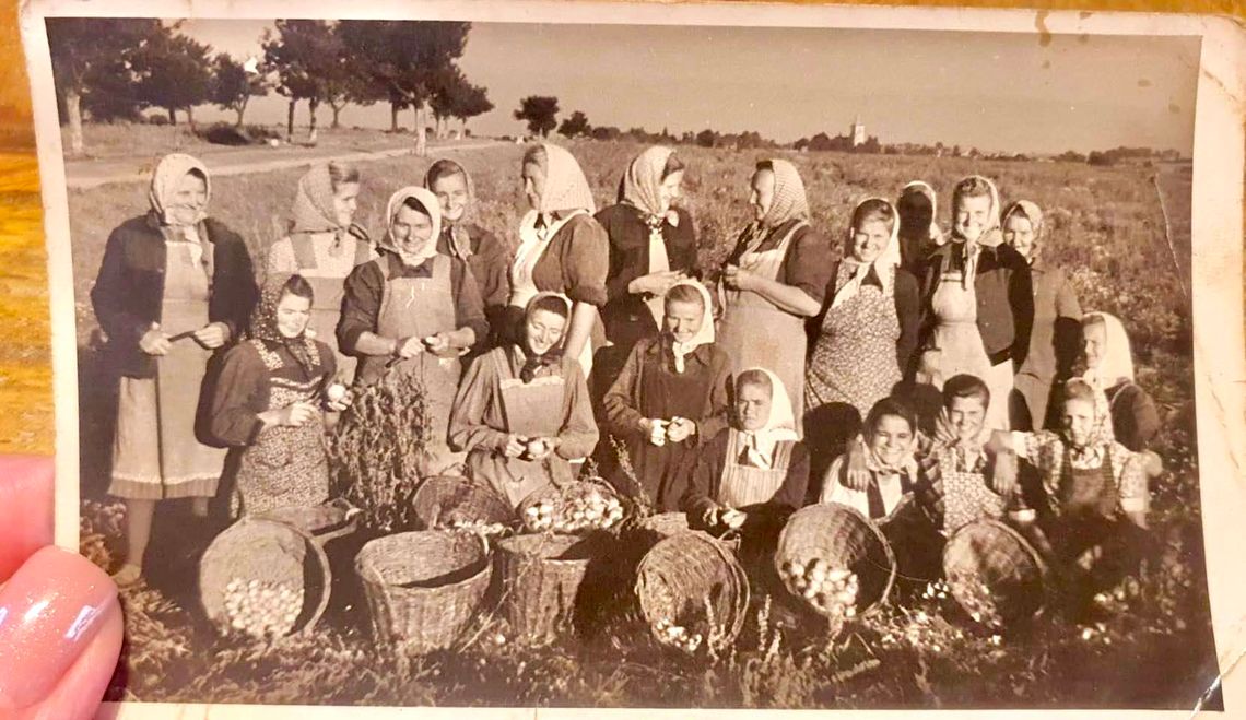 Fotka z klimatem. Kartoflana epopeja w czasach PRL-u