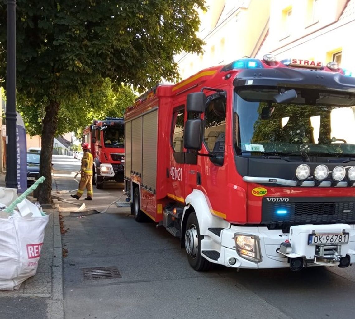 Gdyby odpady zostały uprzątnięte, nie byłoby pożaru. ZDJĘCIA