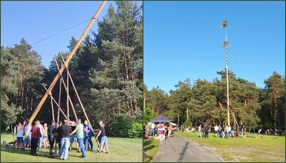 Gigantyczny moik wspiął się ku niebu