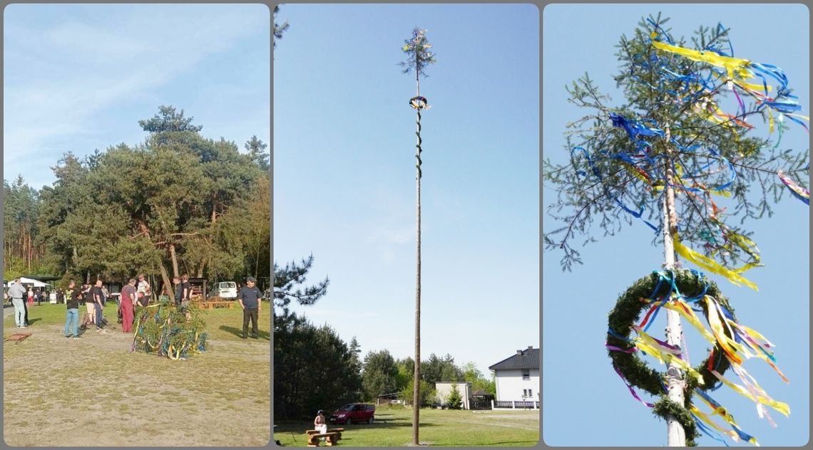 Gigantyczny moik znów stanął w Solarni. ZDJĘCIA