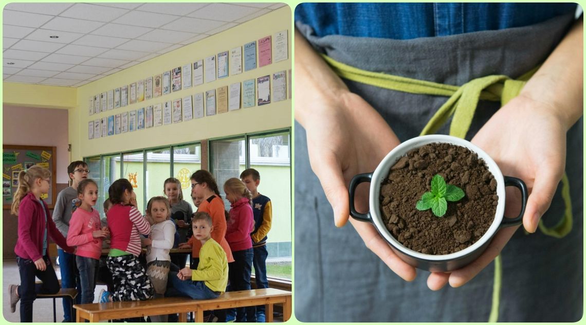 Gmina Polska Cerekiew zrealizuje projekt edukacyjny wspierający ekologię
