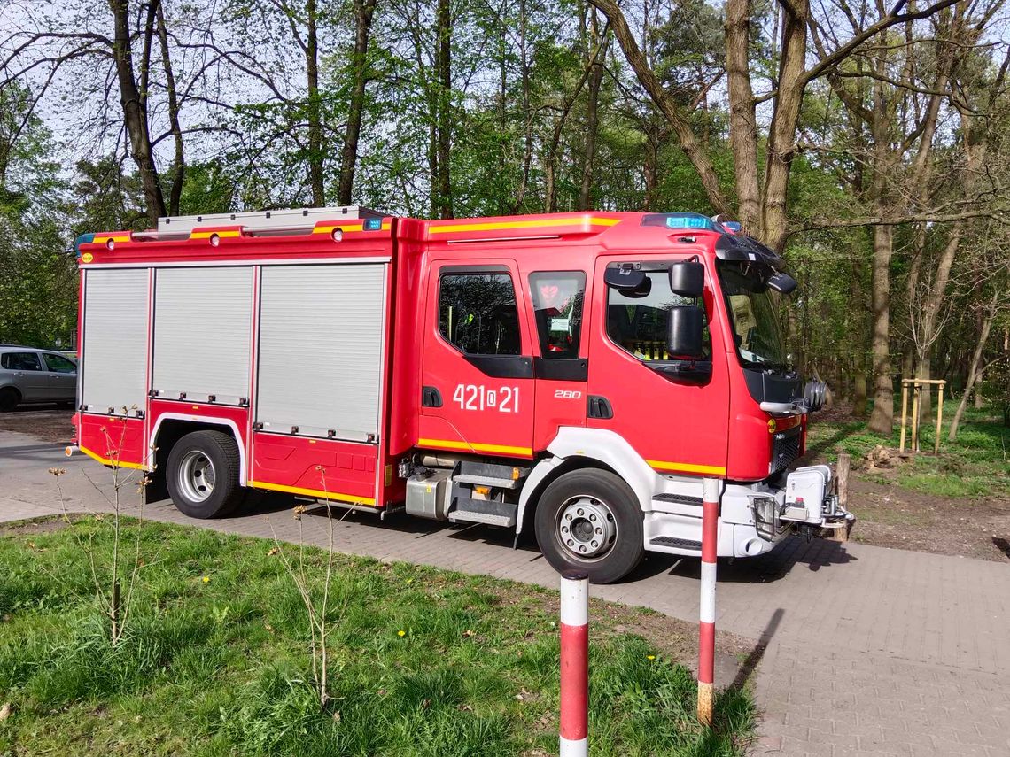 Gołąb utknął w studzience. Na pomoc wezwano strażaków