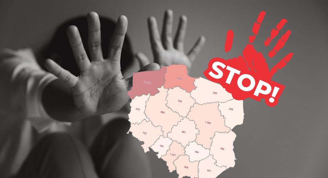 Gwałt na nieletniej, pedofilia, seks z osobą chorą psychicznie. Szokujące dane z naszego powiatu