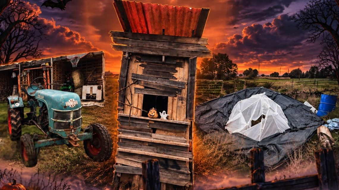 Halloweenowy Ogród w Roszowickim Lesie szykuje się na odwiedzających