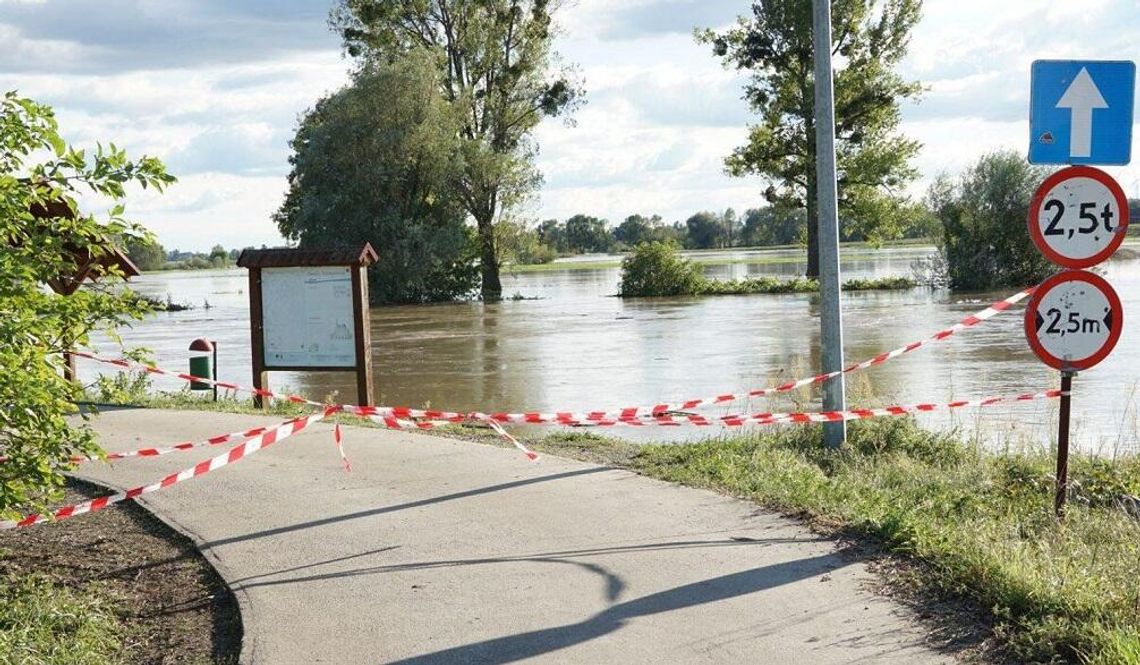 Harcerze z Kędzierzyna-Koźla organizują akcję pomocową