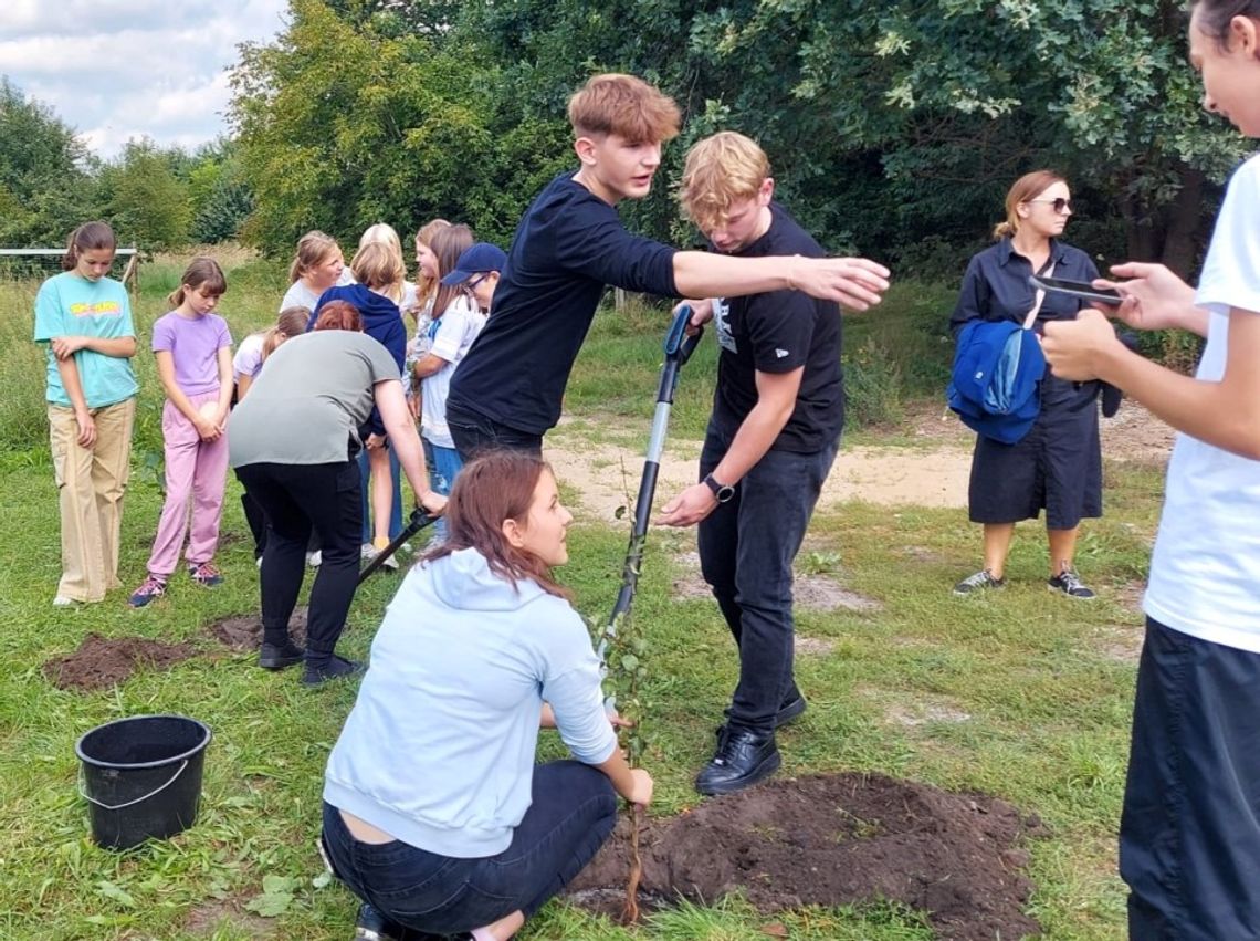I ty możesz posadzić swoje drzewko