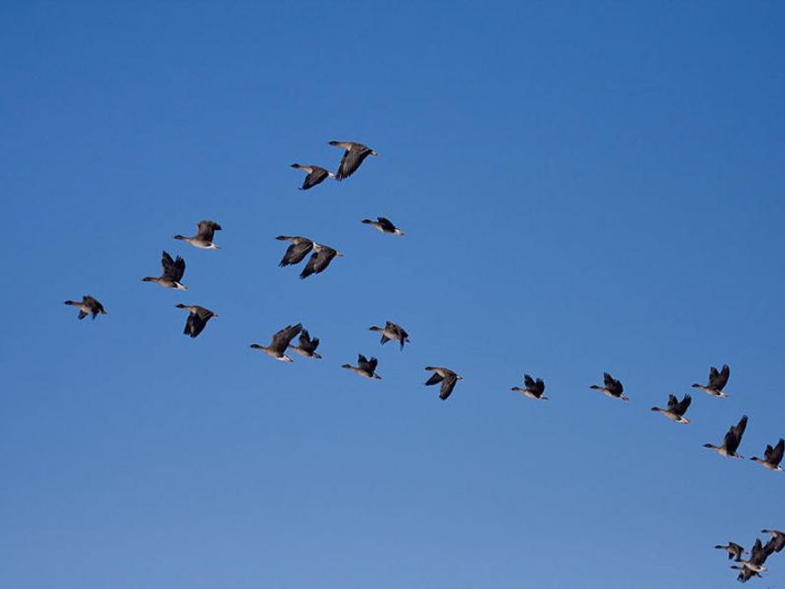 Idzie zima? Ten filmik naszego czytelnika powinien dawać do myślenia Idzie zima? Ten filmik naszego czytelnika powinien dawać do myślenia