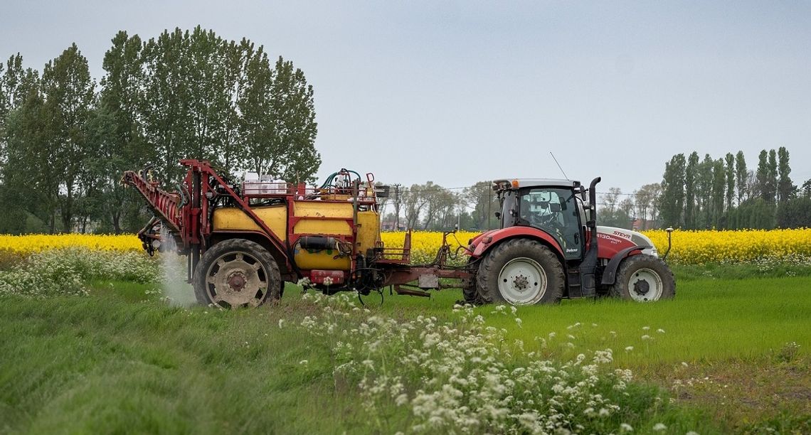 Import ze wschodu i wysokie ceny gazu dobijają producentów nawozów w Polsce