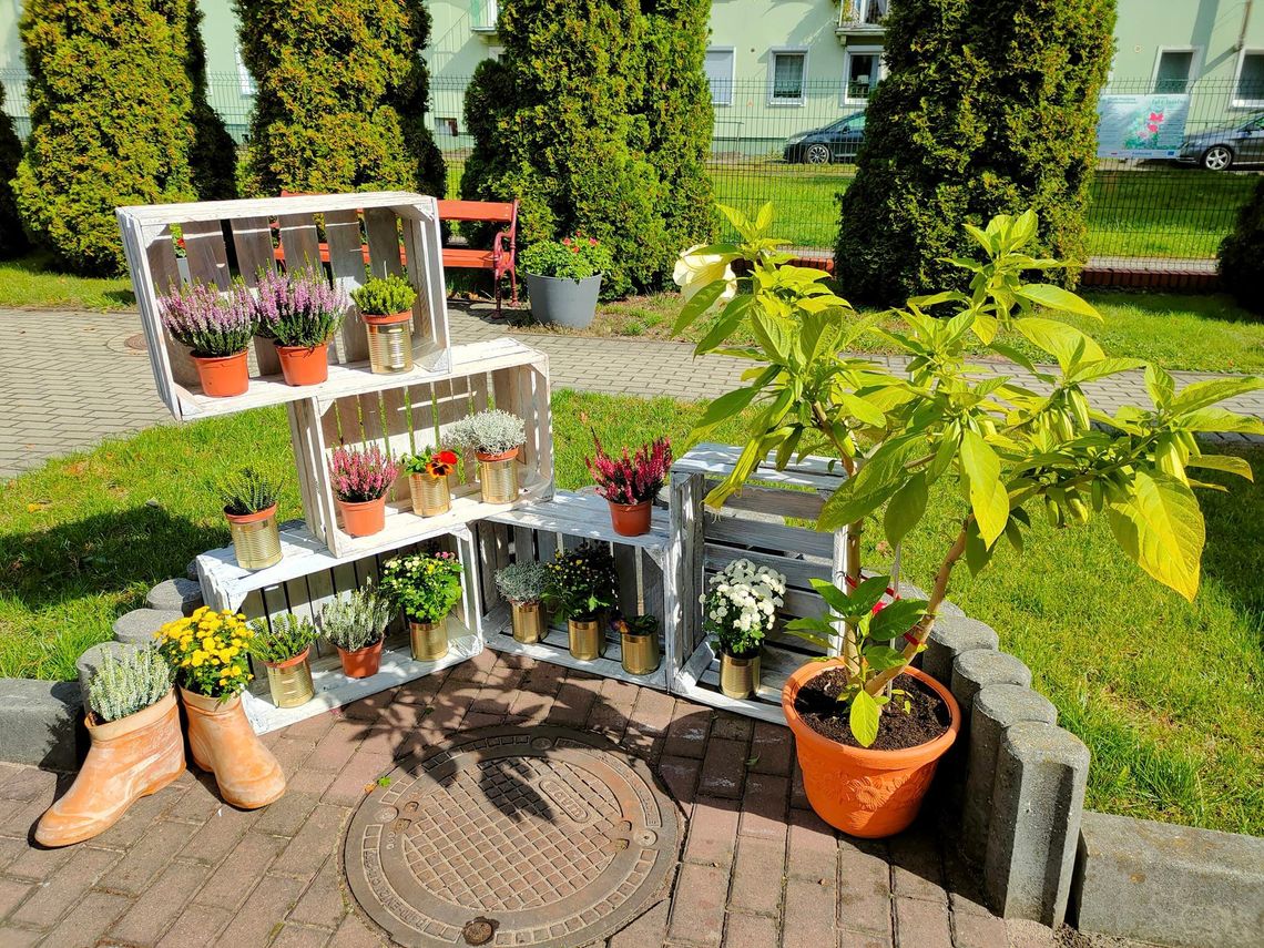 Integracyjne eko-strefy w Kędzierzynie-Koźlu