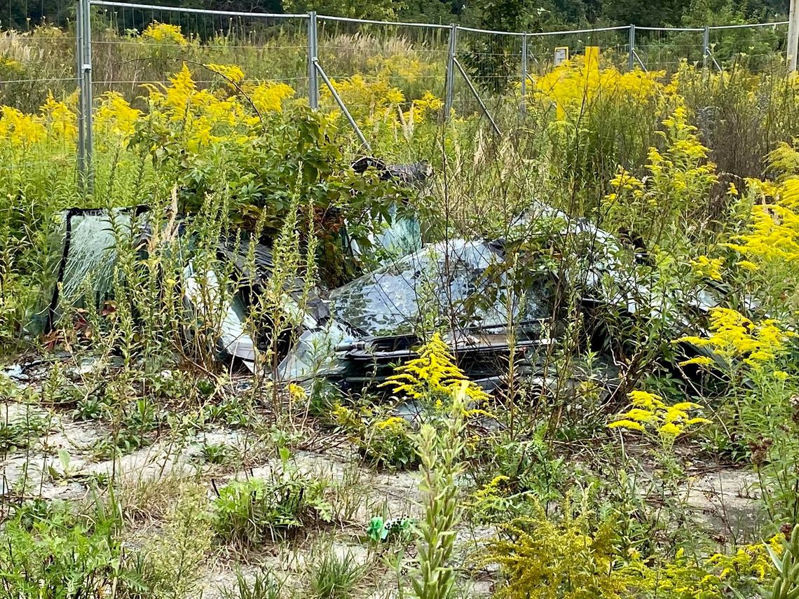 Interwencja naszego czytelnika. Kto i po co tłucze szyby w tym miejscu? Interwencja naszego czytelnika. Kto i po co tłucze szyby w tym miejscu?