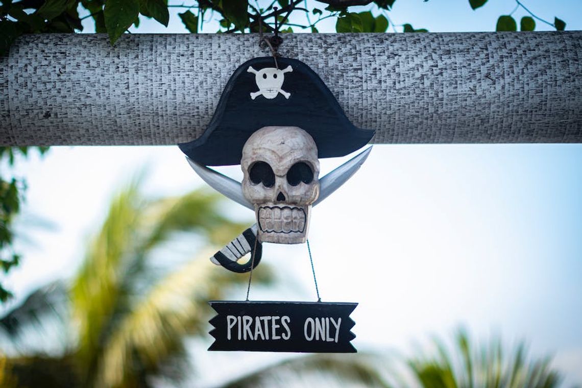 Jak się bronić przed piratami domenowymi?