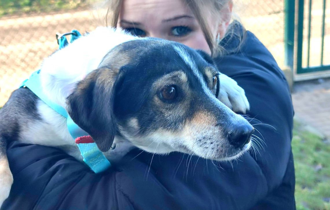 Jedni się zwierząt pozbywają, inni je przygarniają