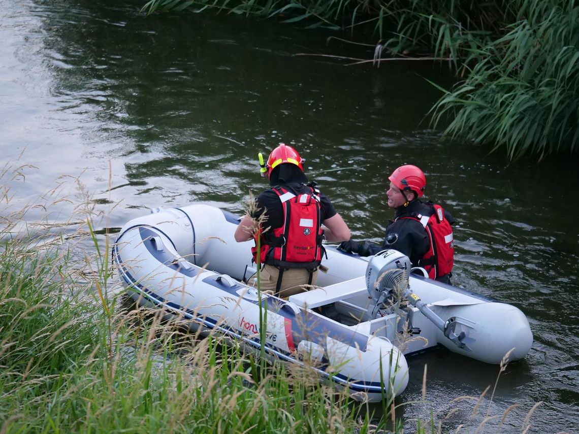 Jelonek wpadł do rzeki Kłodnicy. Interweniowali strażacy Jelonek wpadł do rzeki Kłodnicy. Interweniowali strażacy